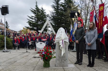 Doprsni kip Borisa Raceta – Žarka na Kozini 4